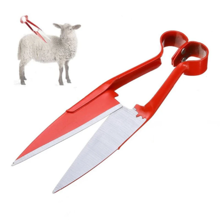 Tijeras para Esquilar Lana 10 pulgadas